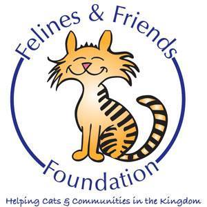 Felines & Friends Foundation
