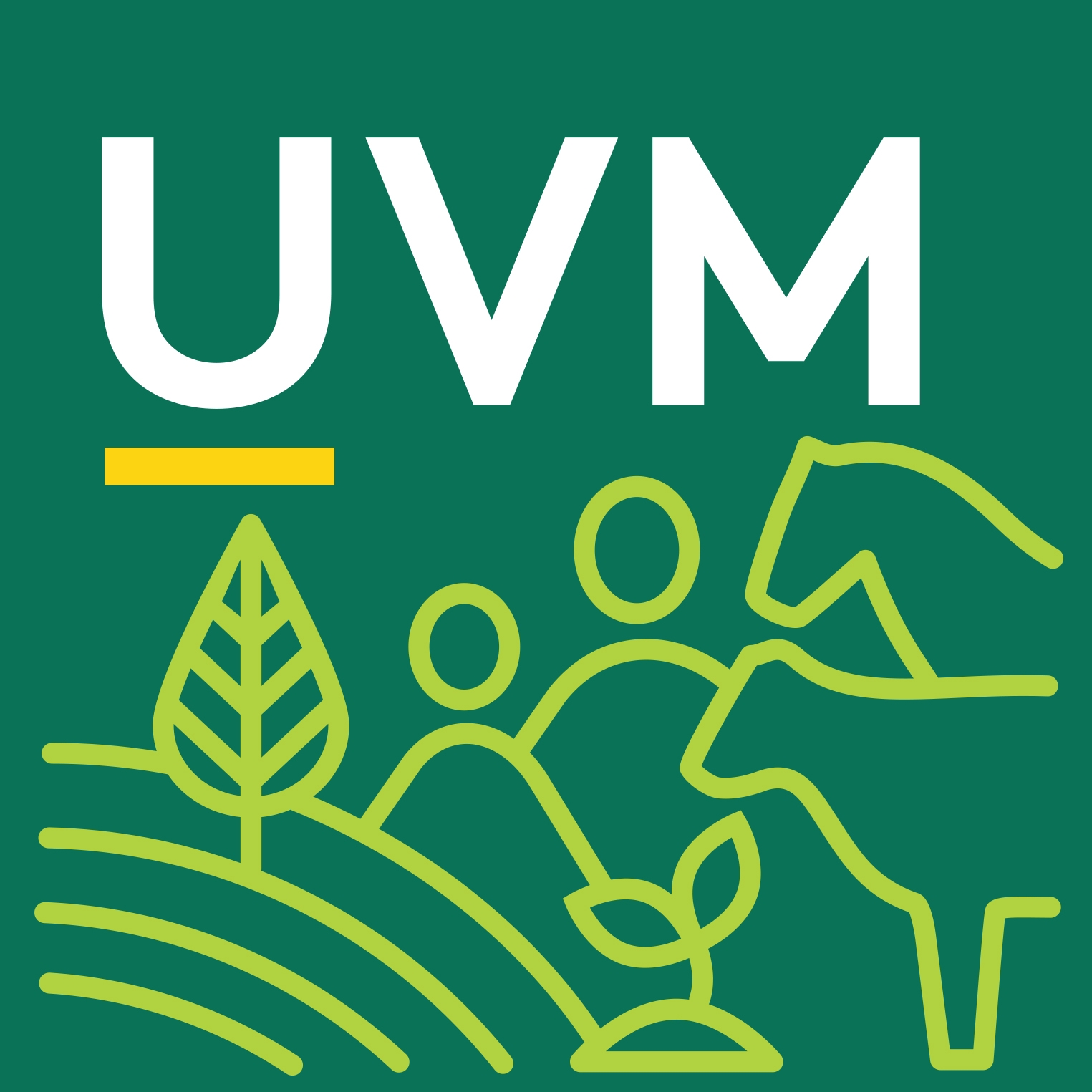 UVM Extension - Berlin